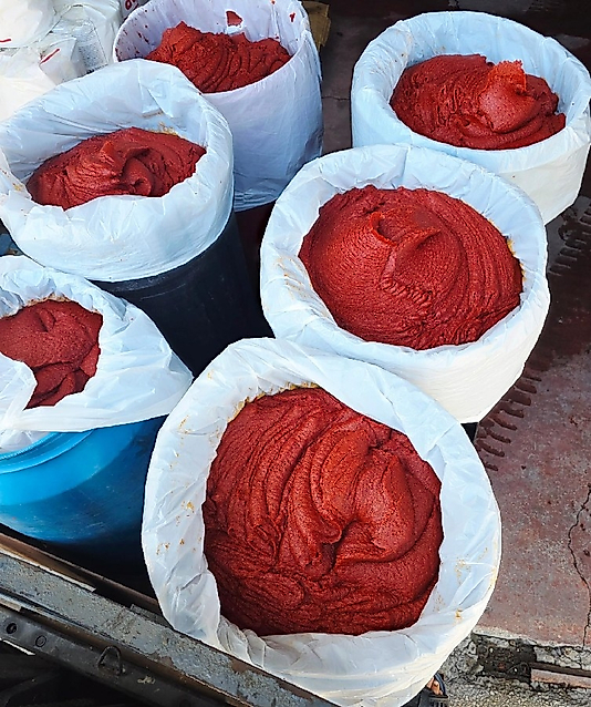 biber salçası doğal gunkurusu